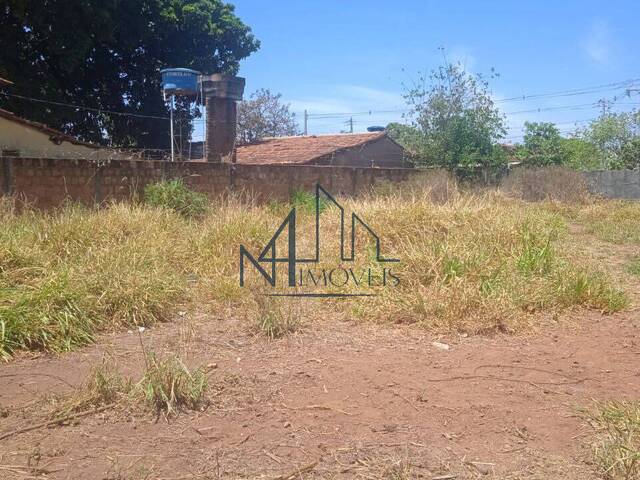 #2590 - Terreno para Venda em Aparecida de Goiânia - GO - 3
