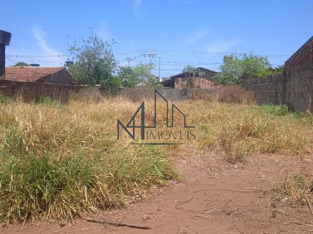 #2590 - Terreno para Venda em Aparecida de Goiânia - GO - 2