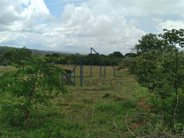 Chácara para Venda em Bela Vista de Goiás - 4