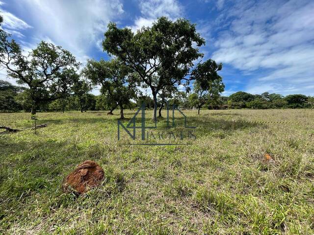 Chácara para Venda em Bela Vista de Goiás - 5