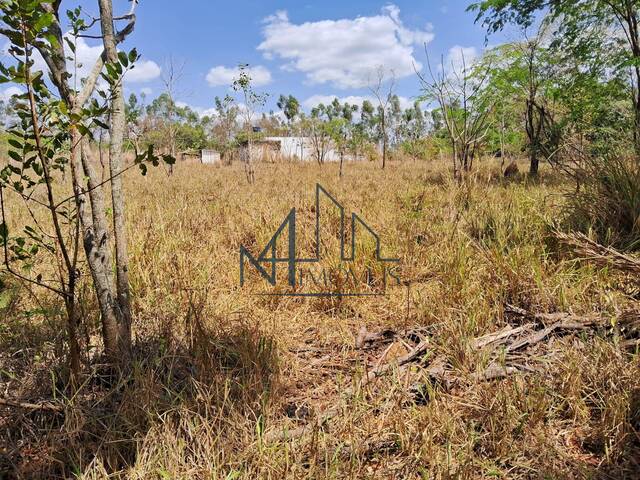 #2260 - Terreno para Venda em Aparecida de Goiânia - GO - 3